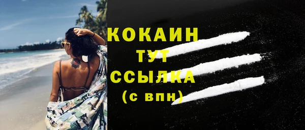 индика Кинешма
