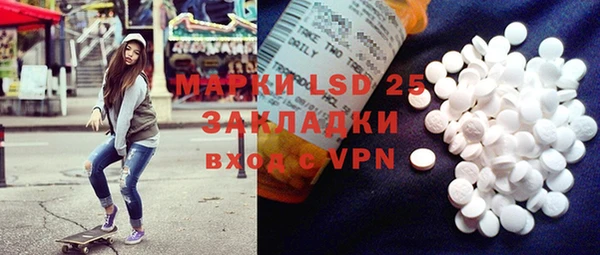 прущие грибы Карталы