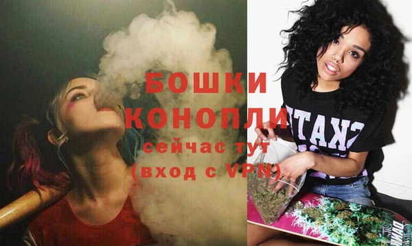прущие грибы Карталы