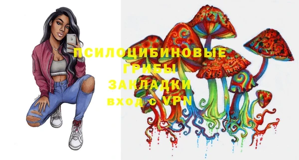 прущие грибы Карталы