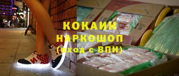 прущие грибы Карталы