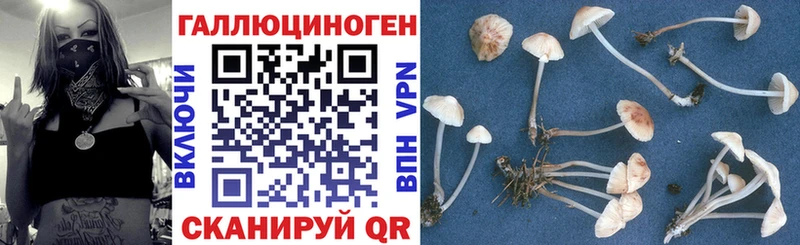 Купить где  Каргополь  Галлюциногенные грибы прущие грибы 